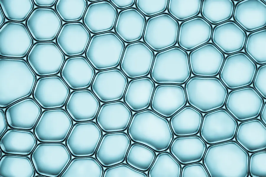 AFS Image 2